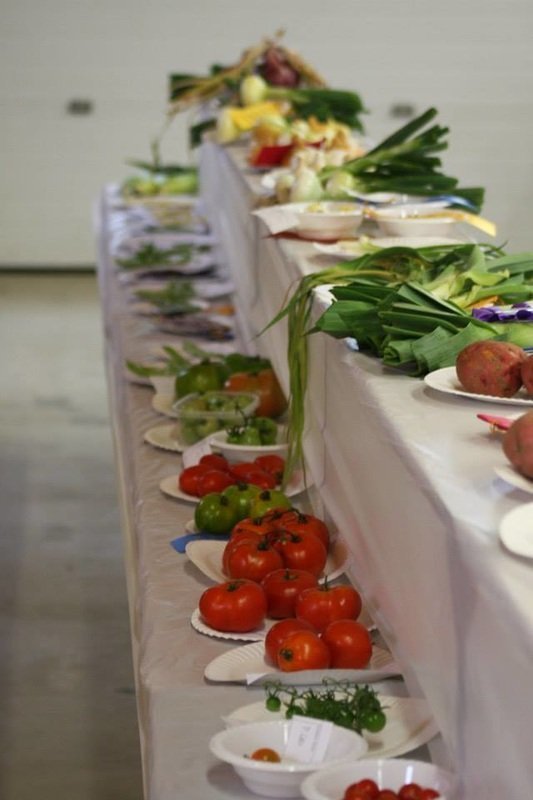 Exhibition-Hall-1.jpg