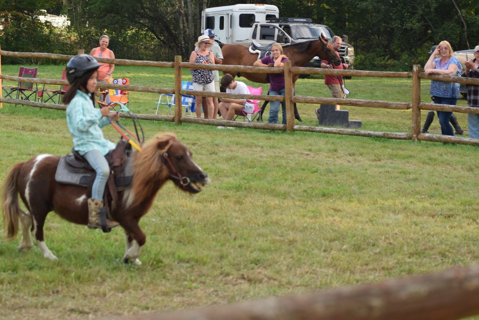 pony